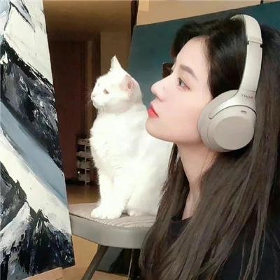 浪浪人生